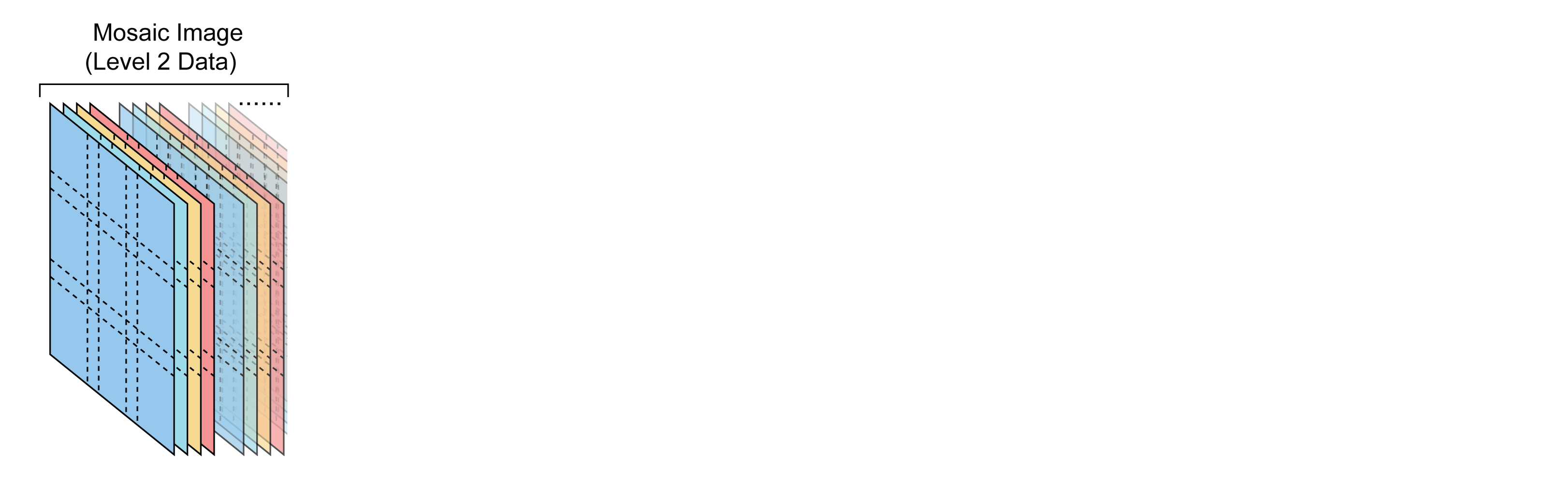 Representation of the mosaic image data. Each cycle contains stitched image data for multiple channels, and these aligned cycles are stacked into a single image file.