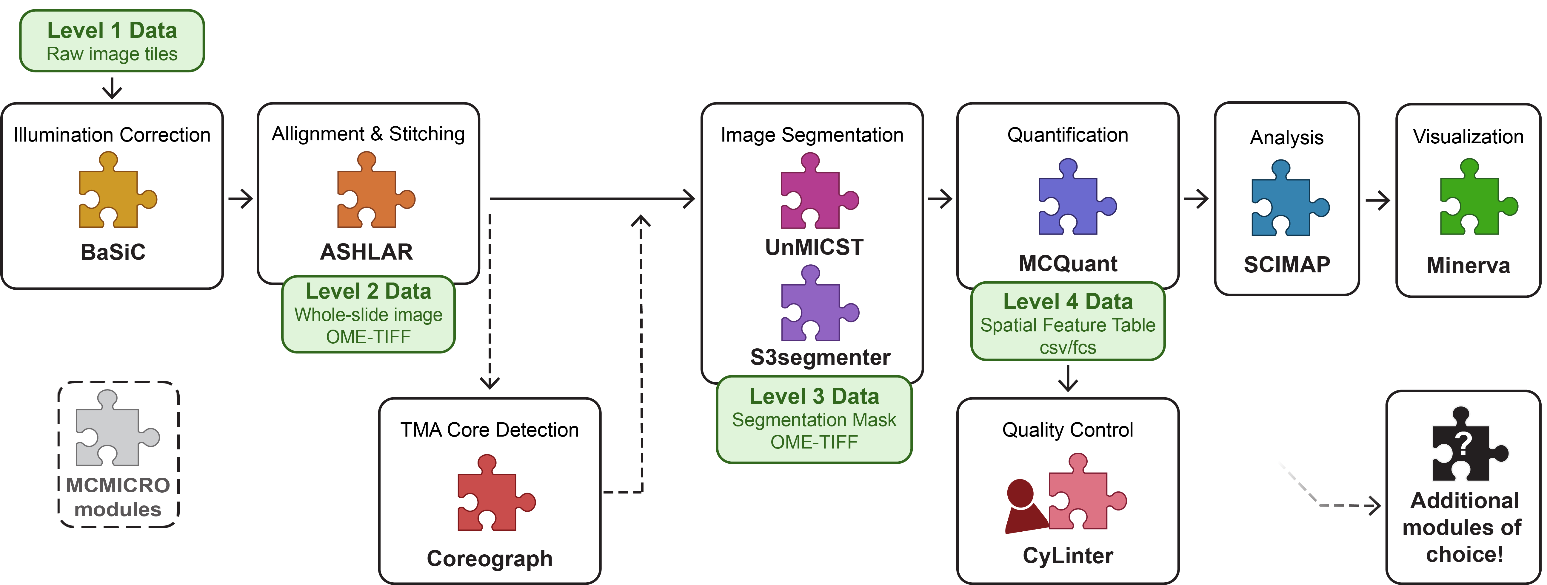 Visual overview of the MC MICRO pipeline components: Basic for illumination correction, Ashlar for alignment and stitching, Coreograph for TMA Core detection, UnMicst or S3 segmenter for segmentation, MC Quant for image quantification.