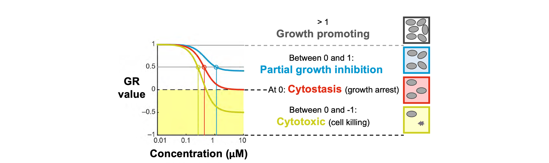 The GR value relates naturally to a treatment's effects on cell population growth. For partially cytostatic treatments (where growth is slowed, but not completely halted) GR values fall between 1 and 0. A GR value of zero represents cytostasis, or completely halted population growth. Cytotoxic treatments (where cell population declines) produce GR values between 0 and -1. Finally, a GR value of greater than one signifies a treatment that promotes growth.