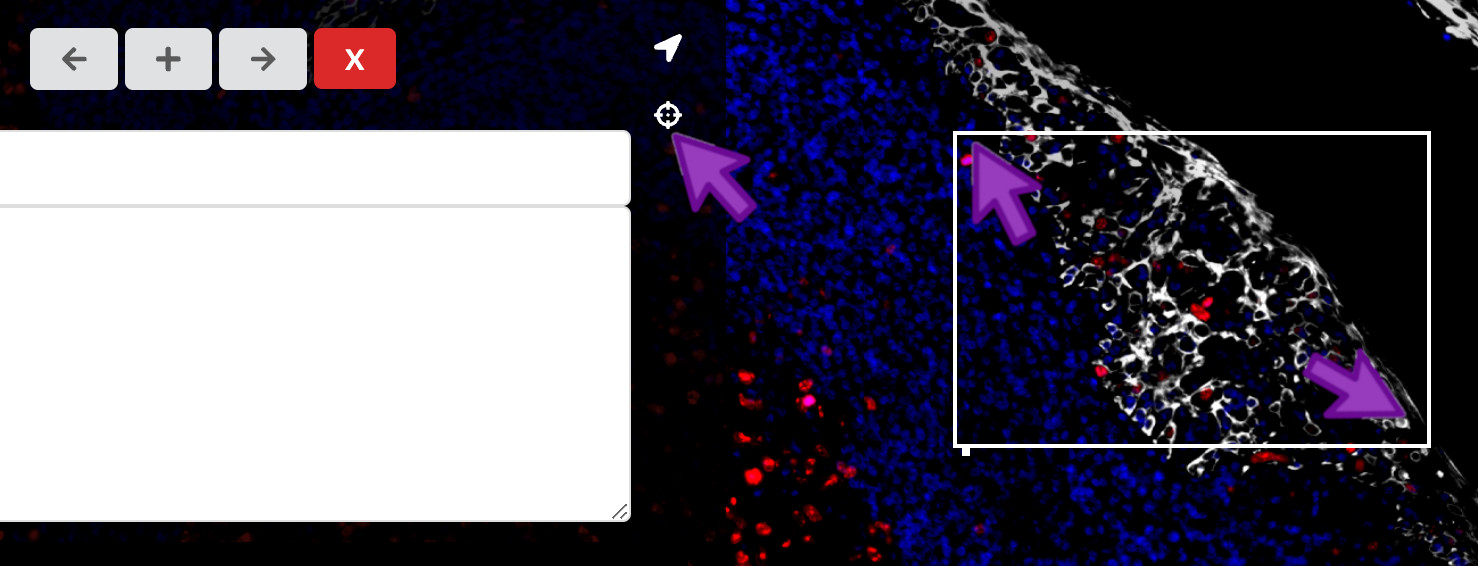 Add a rectangular region to a waypoint