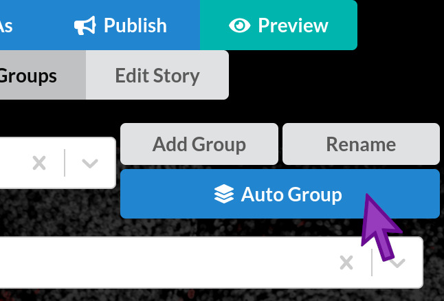 The Auto Group button