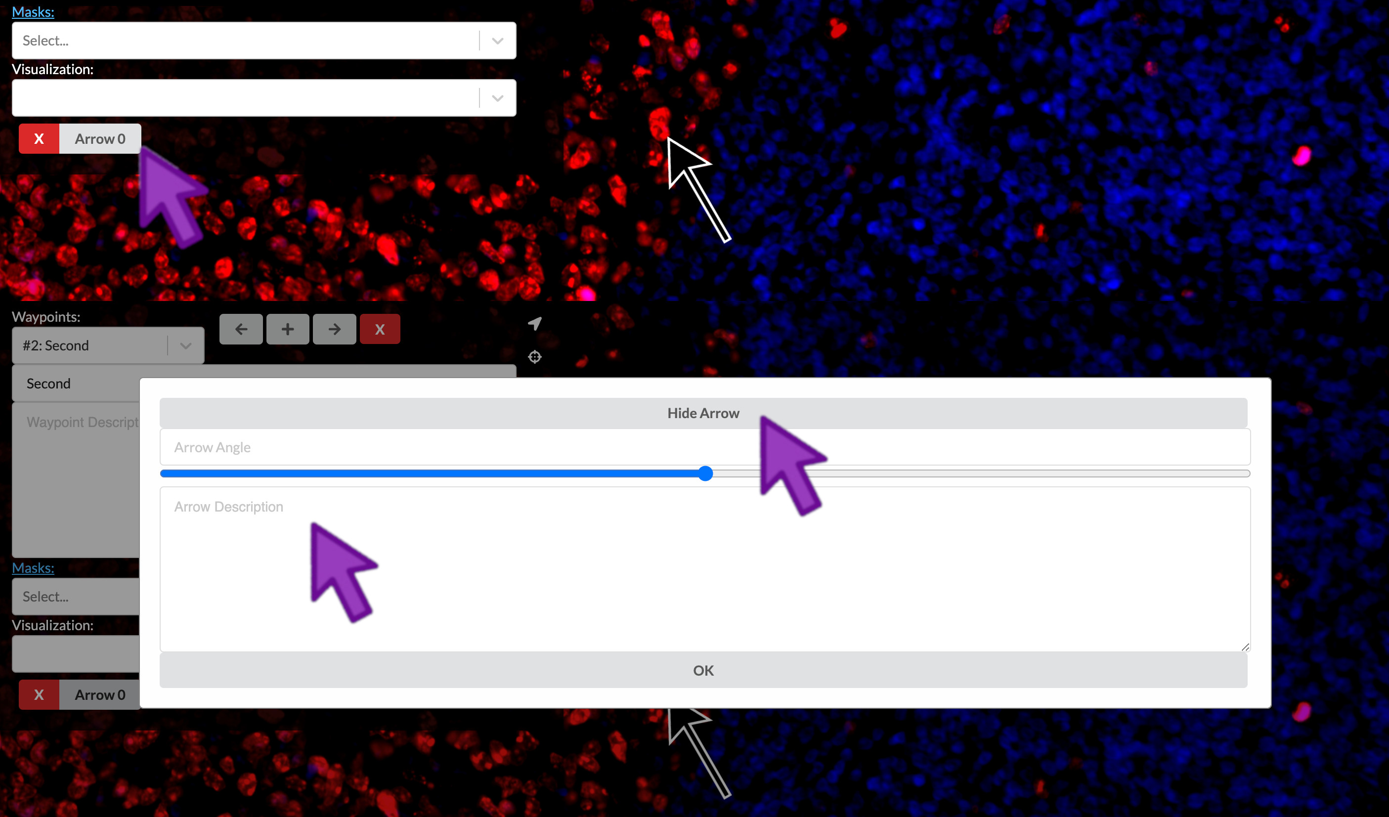 annotate an arrow