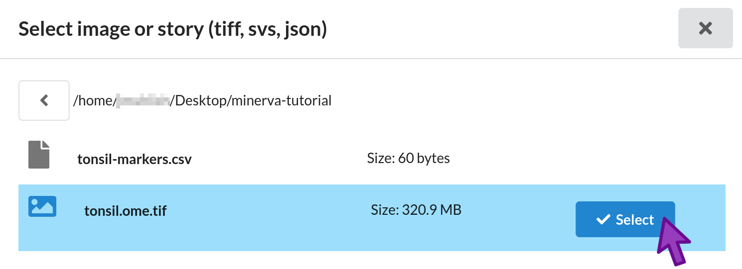 Selecting the OME-TIFF image file