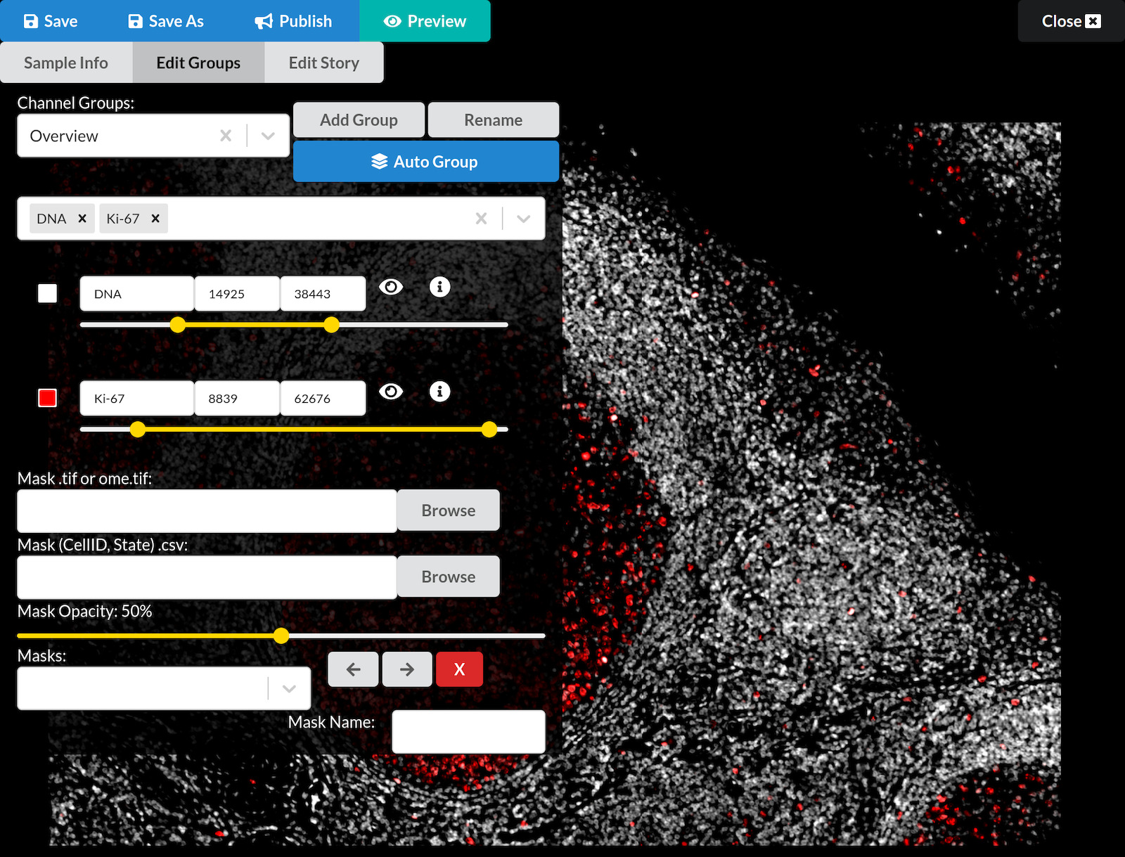 Initial view of a newly created story