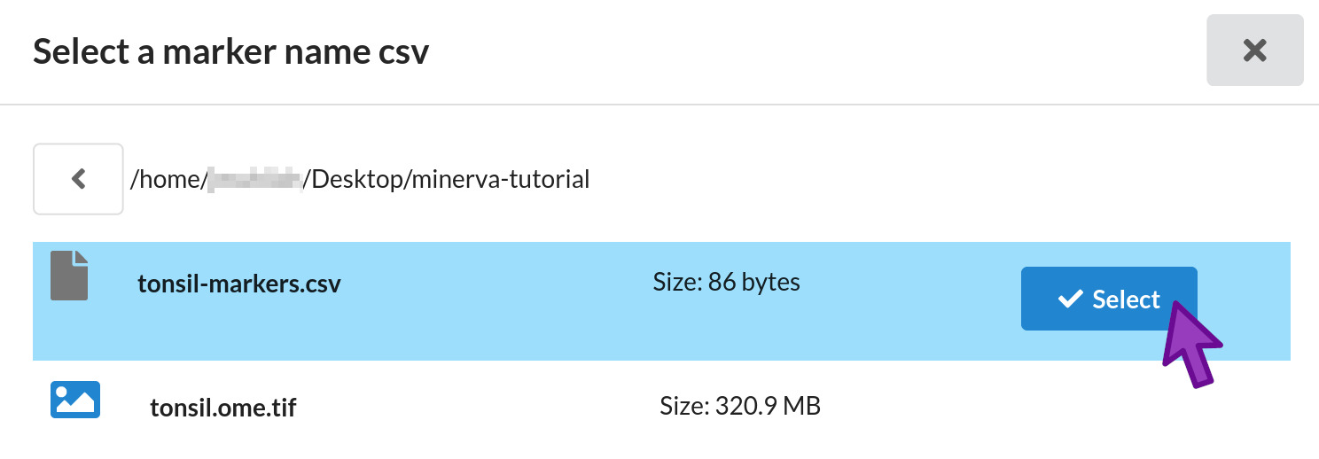 Selecting a CSV file containing channel names