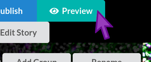 Preview button