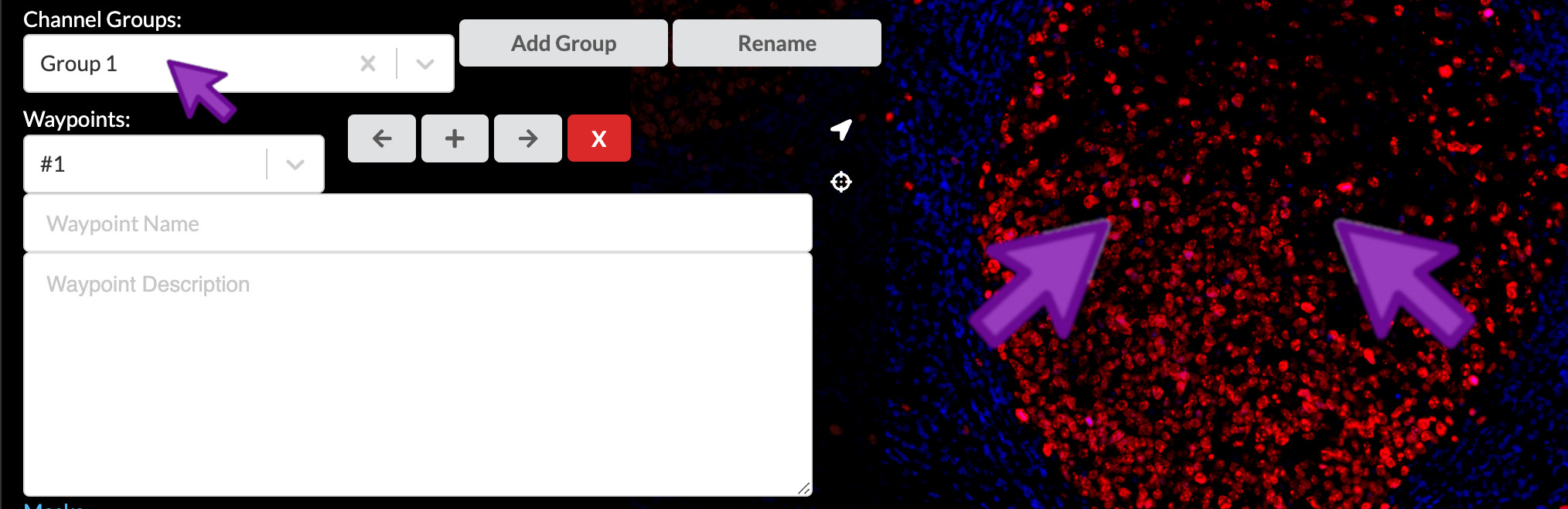 Select channel group and field of view